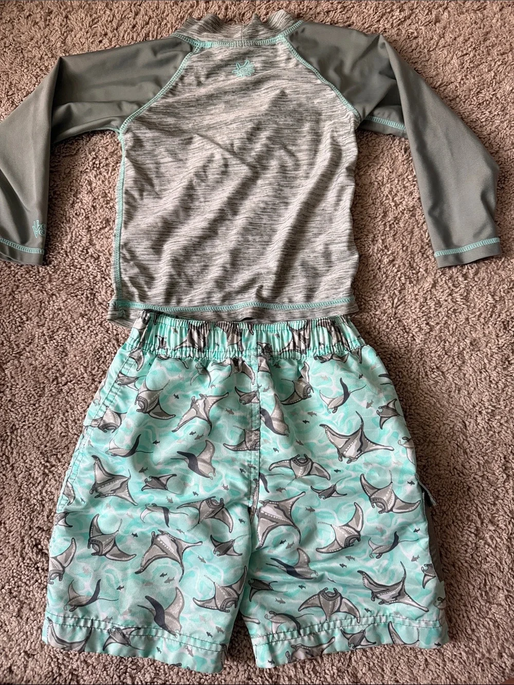 Boys' Mint & Gray Manta Ray Swim Trunks and Rash Guard Set